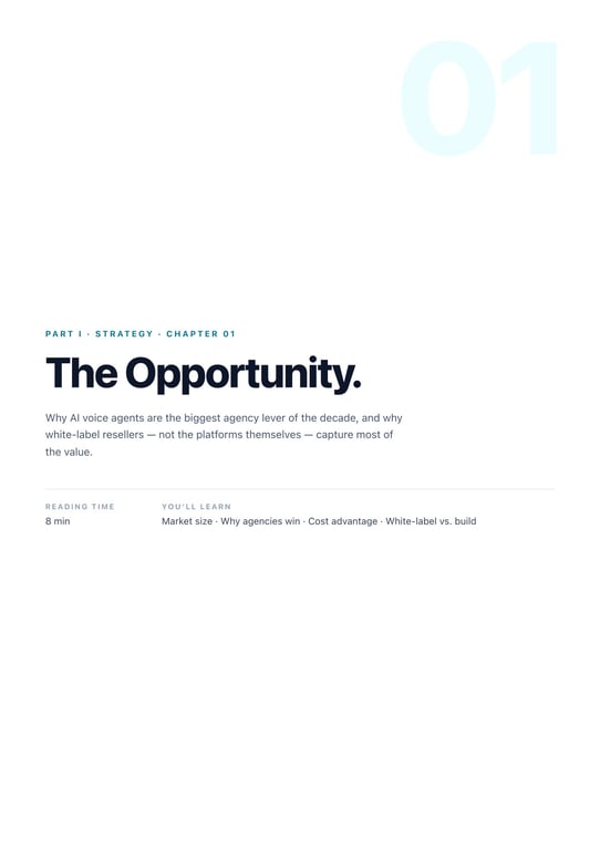 Ch. 01 · The opportunity