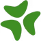 Bloomerang logo